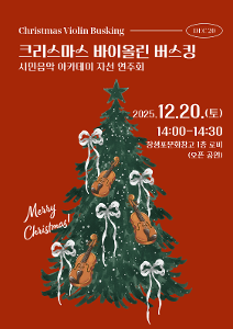 크리스마스 바이올린 버스킹  